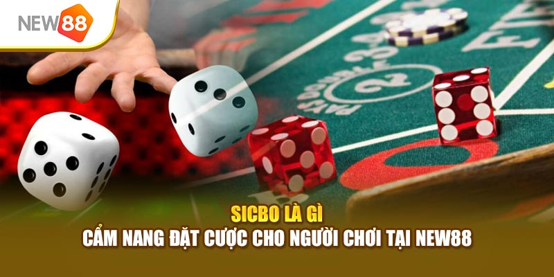Sicbo Là Gì - Cẩm Nang Đặt Cược Cho Người Chơi Tại New88